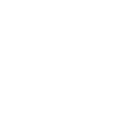 Motion Collection Logo